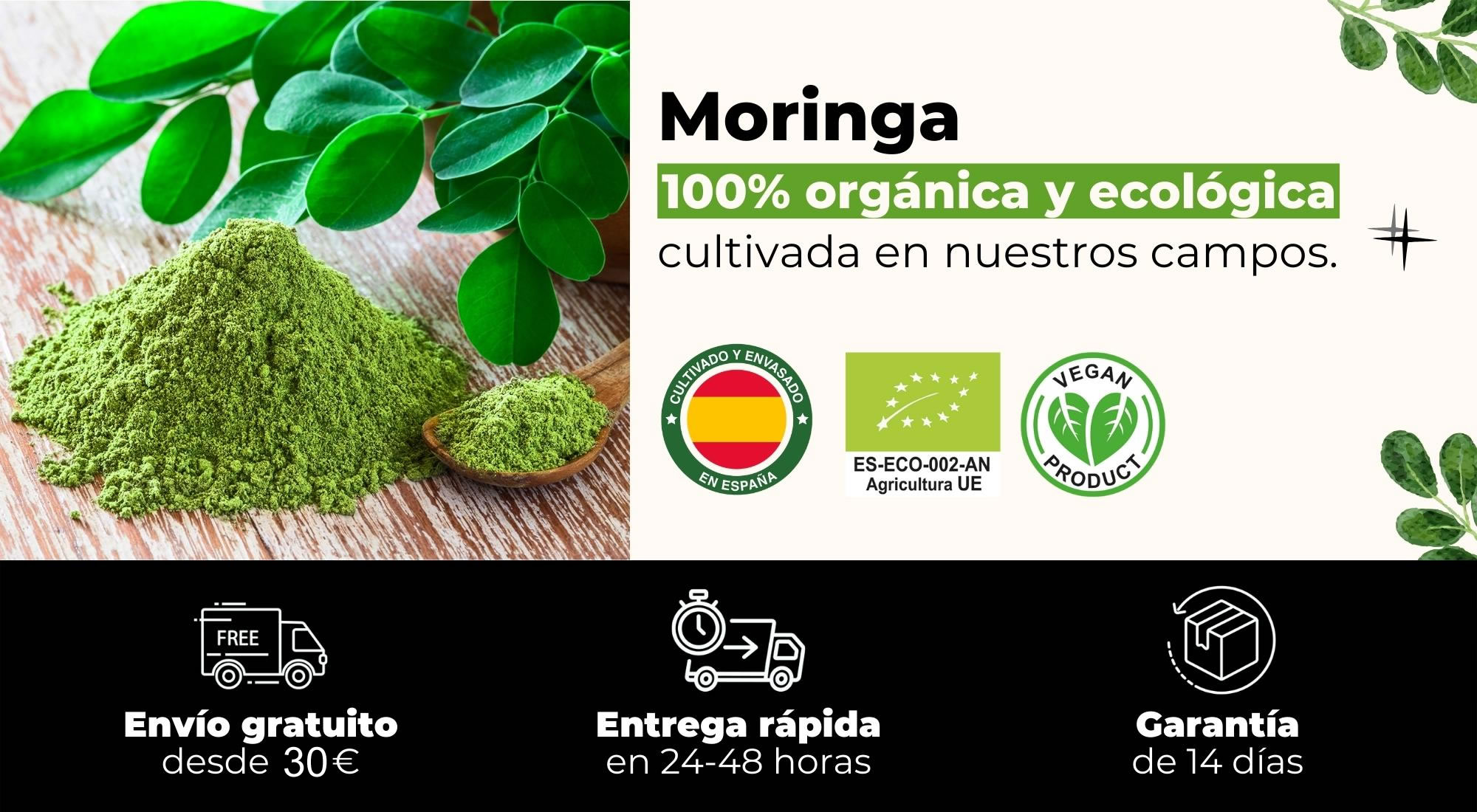 comprar-moringa-organica-y-ecologica-Moringa-del-Sur-1