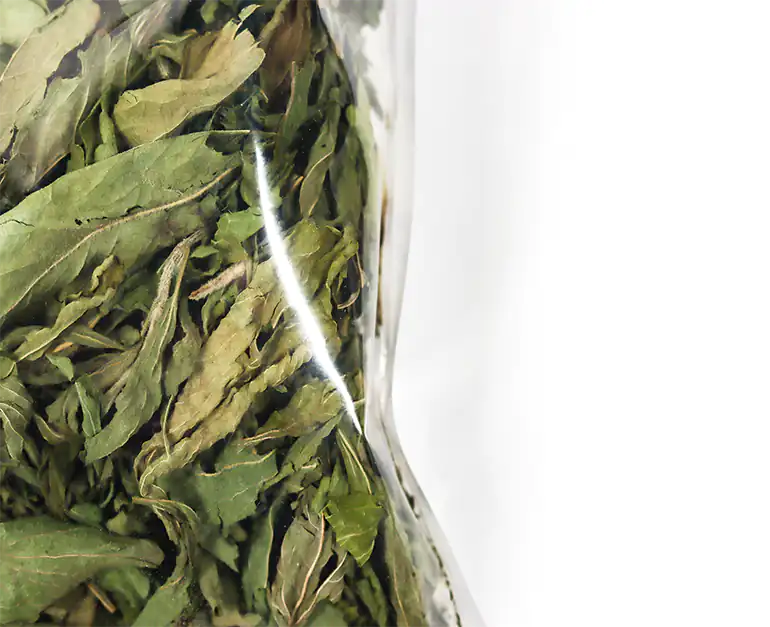 Comprar stevia natural ecológica