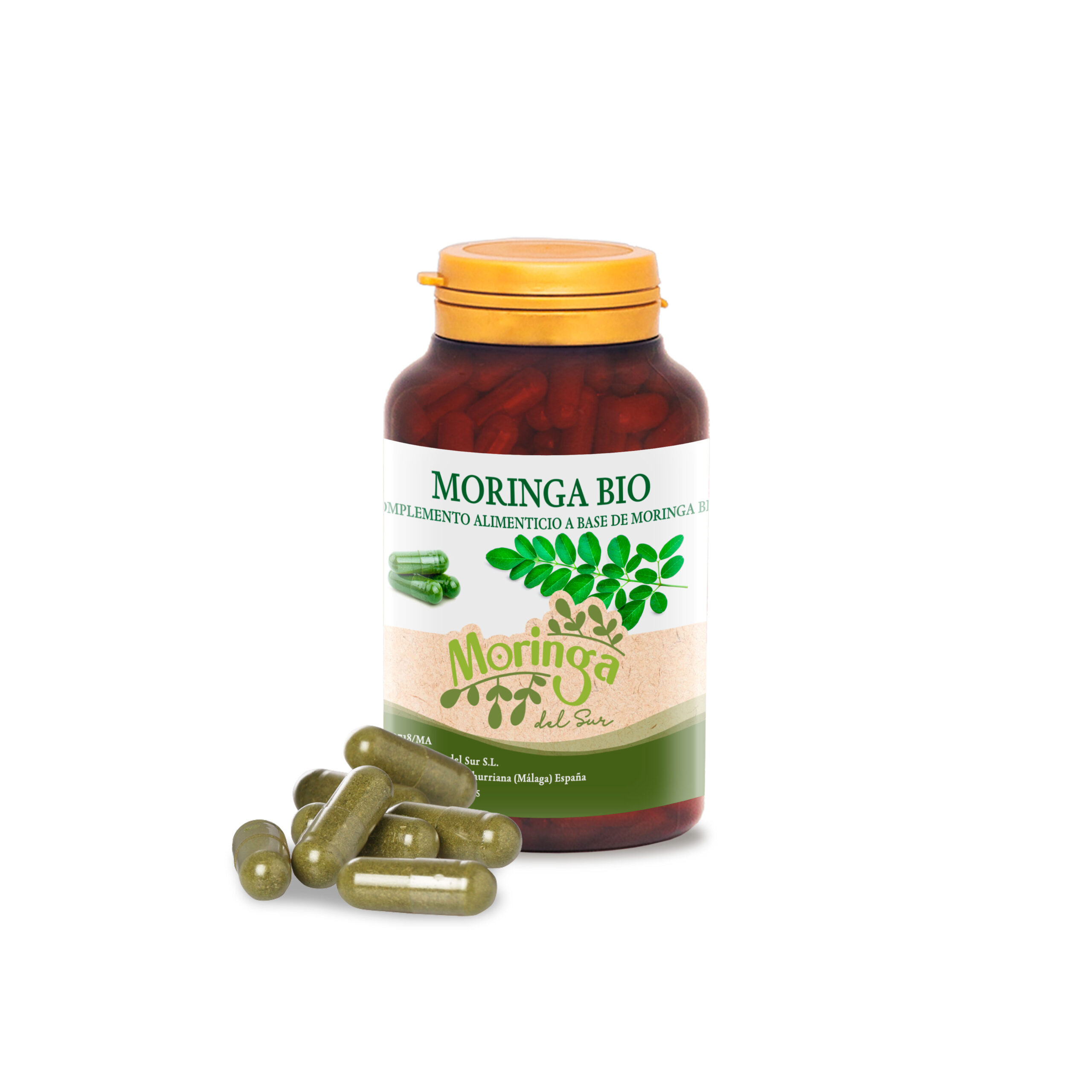 moringa en capsulas 120 unidades ecologica