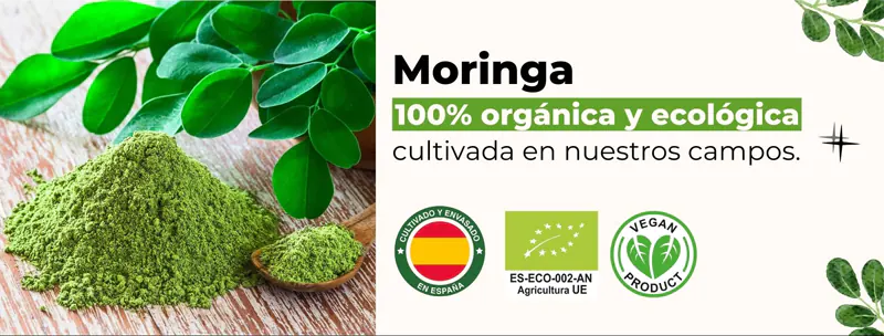 Comprar moringa ecológica y orgánica de España - Moringa del Sur