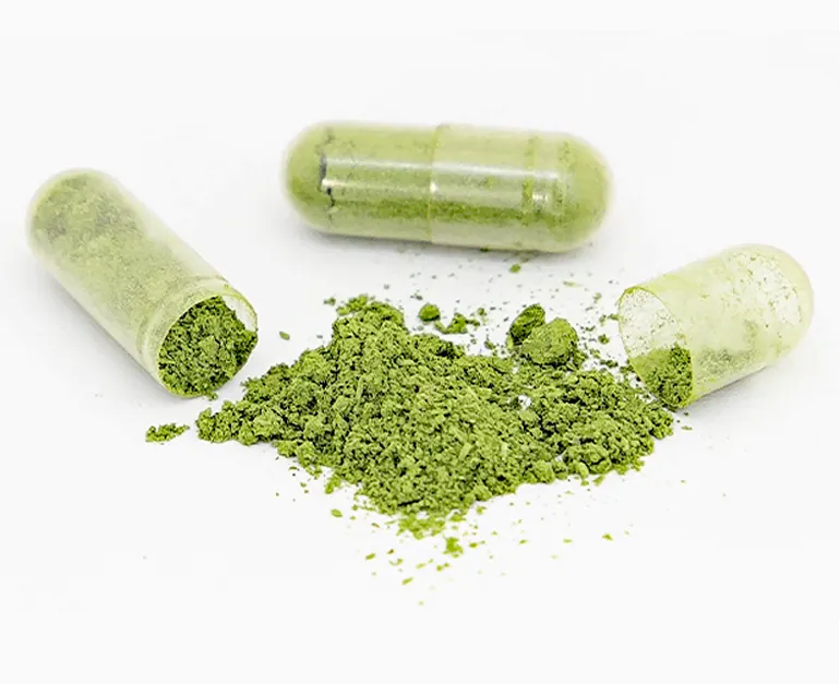 capsula vegetal ecologica moringa del sur